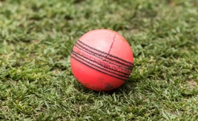गुलाबी गेंद का इस्तेमाल पारंपरिक लाल गेंद की तुलना में बेहतर विजन के लिए किया जाता है