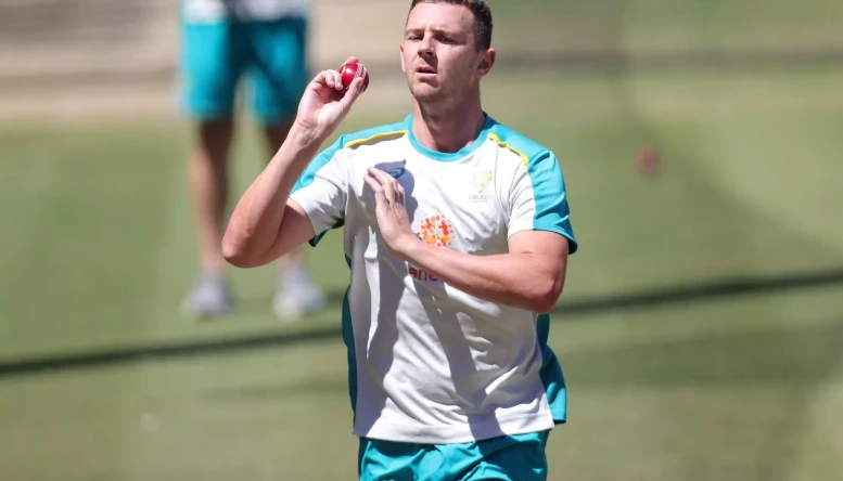 Josh Hazlewood :Same accuracy in white and  red ball format
