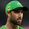 glenn_maxwell_profile.png