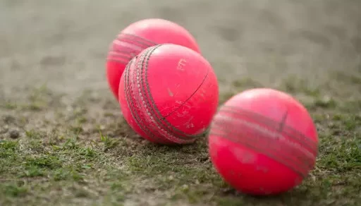Pink Ball Test Match